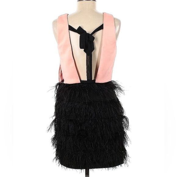 Slate and Willow Sz. 6 Cocktail Dress | Blush Top | Feathered Skirt | Unique - Picture 2 of 3